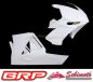 Preview: Aprilia RSV4  2009-2012 Sebimoto Rennverkleidung 2 teilig  Fairing 2 parts