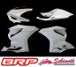 Preview: Ducati Panigale 1199 2012 bis 2014 Sebimoto Rennverkleidung 3 teilig und Höcker offen Fairing 3 parts and tailsection open