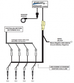 Triumph  plug in Adapterkabel für Starlane Schaltautomat Quickshifter IONIC plug in connecting cable für TRIUMPH Speed Triple,Street ,Triple,Daytona 675