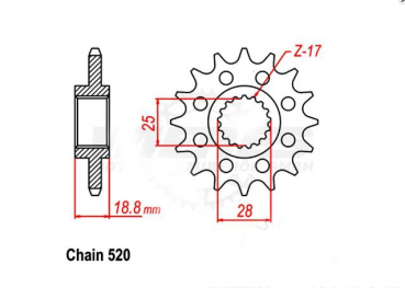 Ritzel Aprilia RSV4 1000 Teilung 520