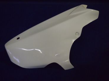 Kawasaki ZX 9R 2000 - 2001 Sebimoto Rennverkleidung 2 tlg. fairing 2 parts