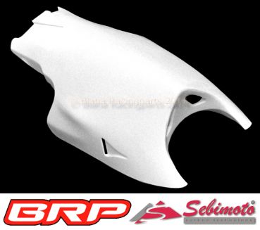 Aprilia RSW 125 1999-2000 Production Racer Sebimoto Unterteil geschlossen lower part