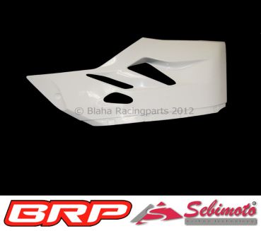 Ducati Panigale 1199 2012-2014 Sebimoto Seitenteil unten links Lower sidepart left