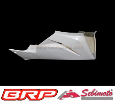 Kawasaki ZX 636 R von 2013 bis 2018 Sebimoto Unterteil geschlossen Lower part closed