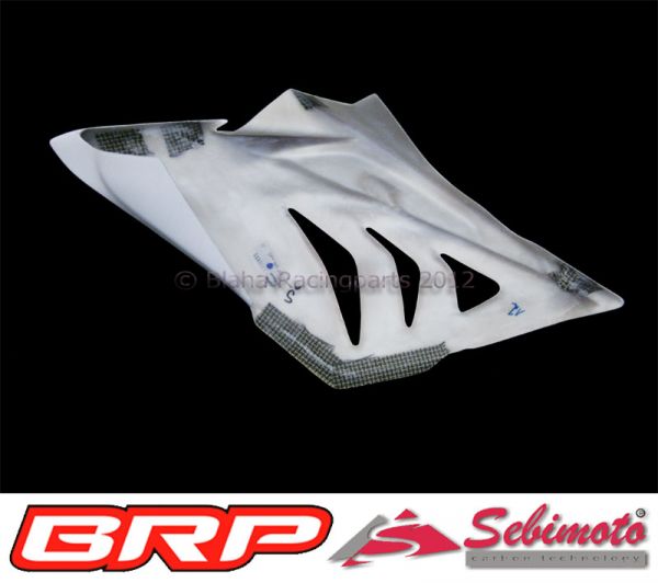 BMW S 1000RR / 2012-2014 Sebimoto Seitenteil rechts / Side part, right