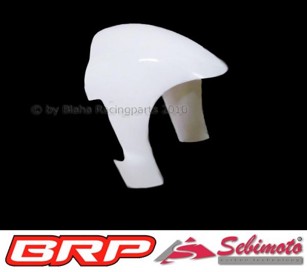 Aprilia RSW 125 2006-2007 Production Racer Sebimoto Kotflügel vorne front fender