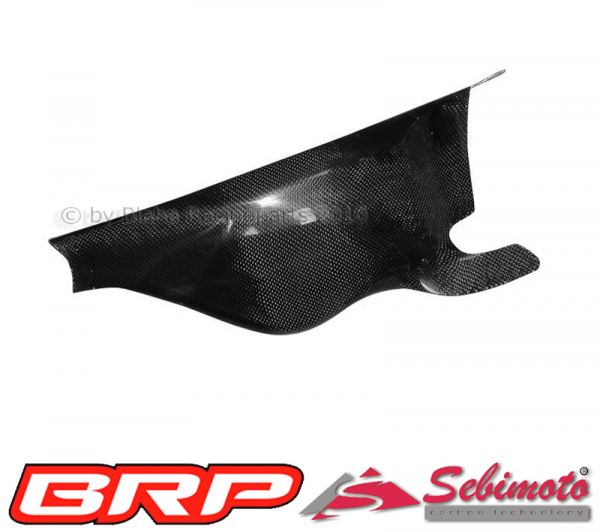 Ducati 996 / 1999 Sebimoto Schwingenschutz / Swingarm protection