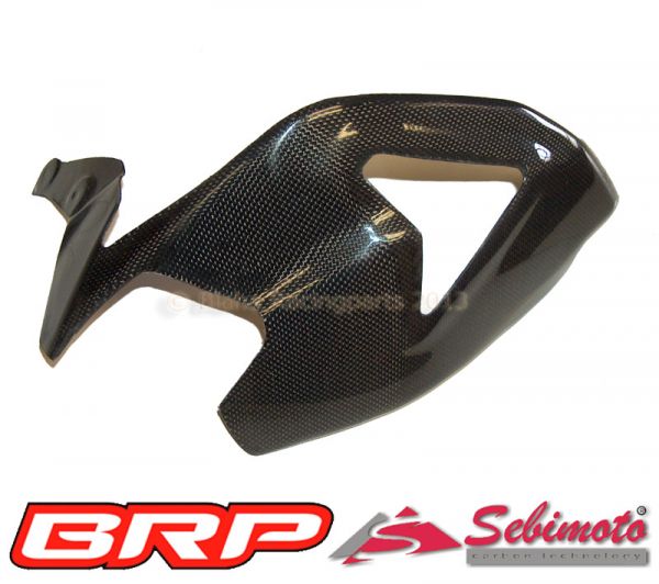 Ducati Panigale 1199 2012-, 1299 2015- Sebimoto Schwingenschutz, Schwingenprotektor - Swingarm protection